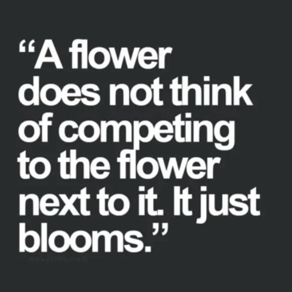 Bringing This back in 2025 Tag List - Picture 7 of 14